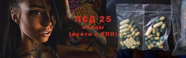 прущие грибы Алексин