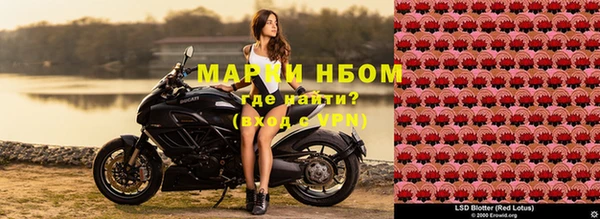 прущие грибы Алексин