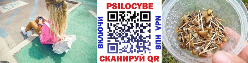 ОМГ ОМГ ссылка Зуевка Галлюциногенные грибы MAGIC MUSHROOMS где найти наркотики